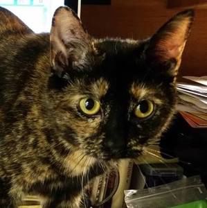 Meet your Posher, Carol